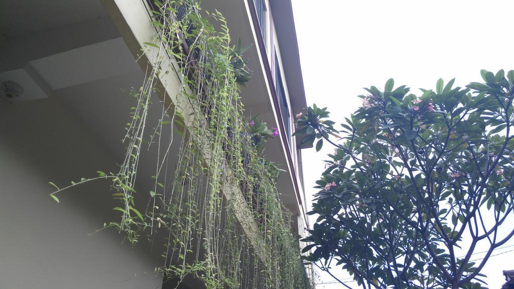 Nyoman Badri Homestay Ubud  Exterior photo