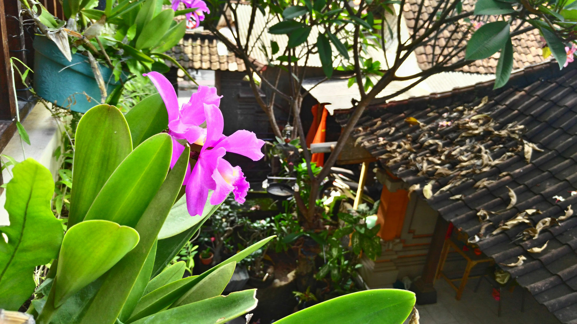 Nyoman Badri Homestay Ubud  Exterior photo